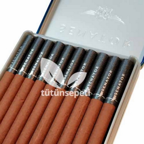 Senator Special Winegrape - Şarap Üzümü Aromalı - Metal Kutu - Görsel 2