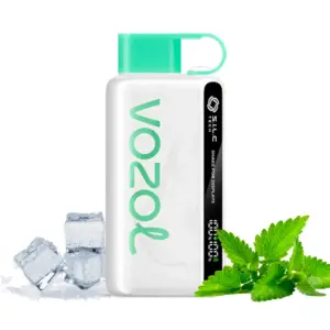 Vozol Star 12000 Puff Cool Mint