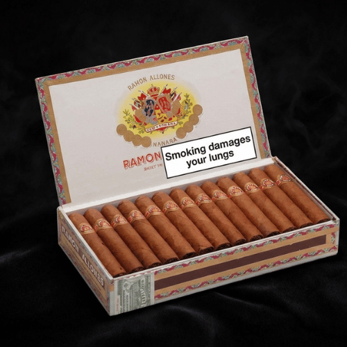 Ramón Allones Specially Selected 25's Puro FREESHOP