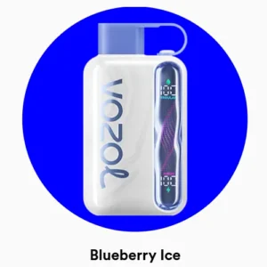 Vozol Star 40000 Blueberry Ice